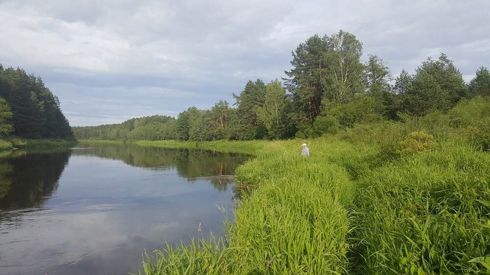Рыбалка на реке летом